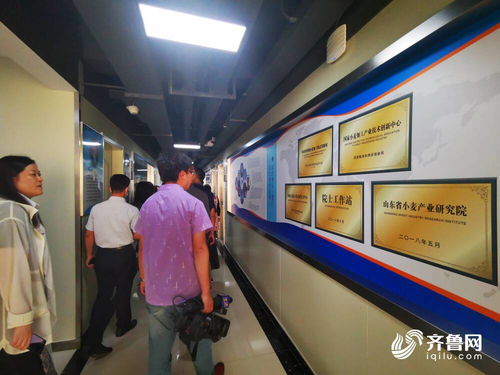 大河奔騰丨從一粒小麥到全產業鏈 濱州中裕食品的產業圖譜與技術革新